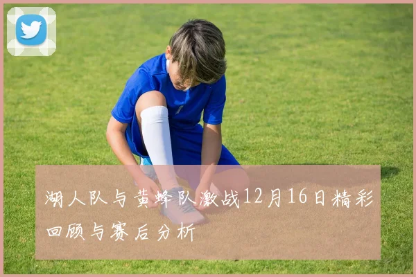 湖人队与黄蜂队激战12月16日精彩回顾与赛后分析