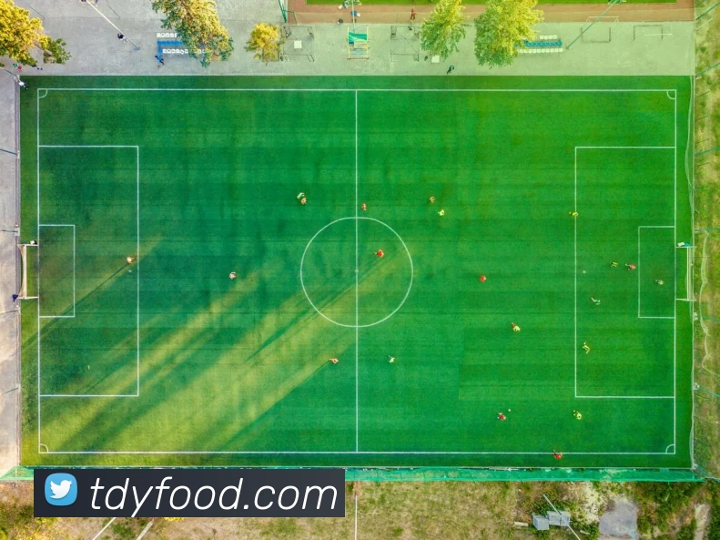 ld乐动发展历程